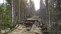 Лежневка – дорога, по которой спецпоселенцы возили бревна