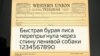 Как Марк Твен и Чехов помогли наладить прямую связь главам СССР и США