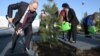 RUSSIA -- Russian President Vladimir Putin plants a pine tree on Cosmonautics Day in the Park of Space Explorers museum complex at the landing site of Yuri Gagarin, in Saratov region, April 12, 2021